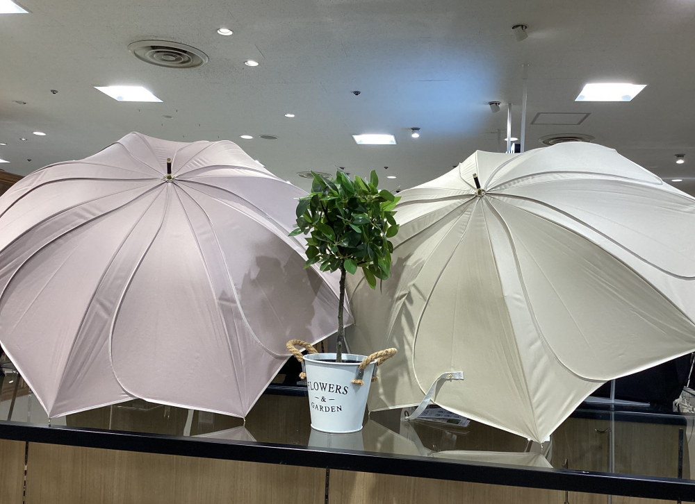 おすすめ商品☂️