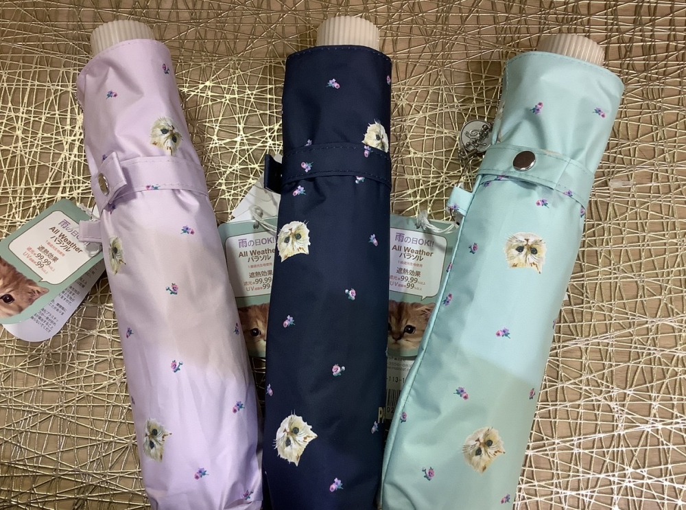 梅雨時期おすすめ🌂