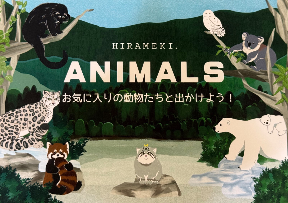 かわいいアニマル入荷しました🐻