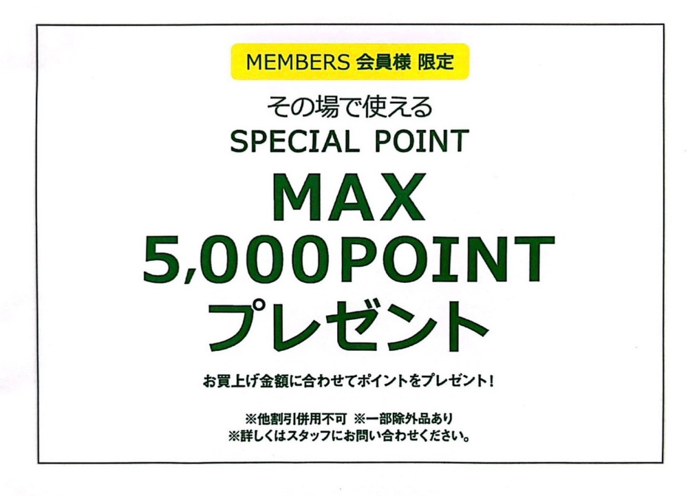 メンバーズ MAX5000Pプレゼント🎁
