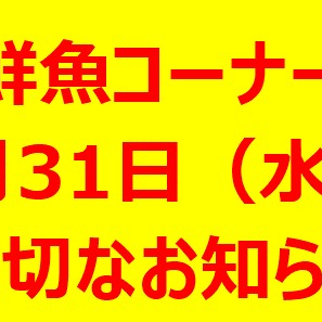 マツチカ　12月31日（水）の大切なお知らせ