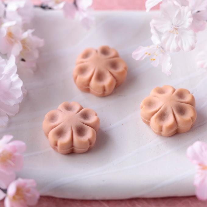 笹屋伊織　伊織のさくら