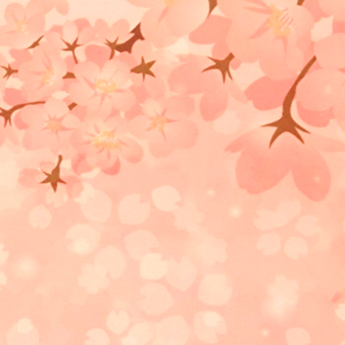 笹屋伊織　桜商品　詰合せ