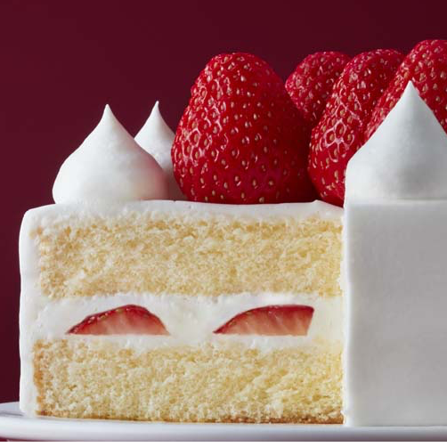 モロゾフ　🎄クリスマスケーキ🍰