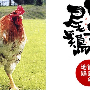 阿波尾鶏もも肉（地鶏）の試食販売のお知らせ！！