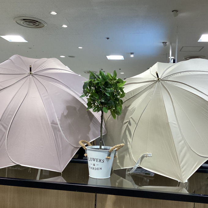 おすすめ商品☂️