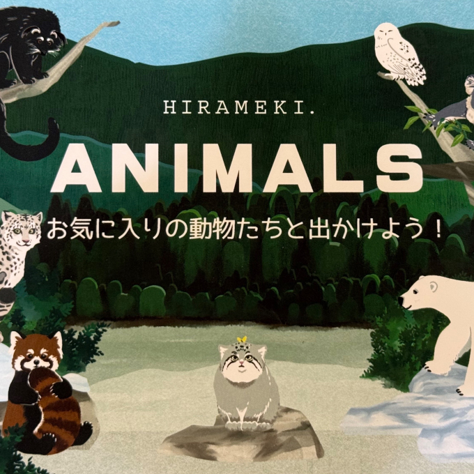かわいいアニマル入荷しました🐻