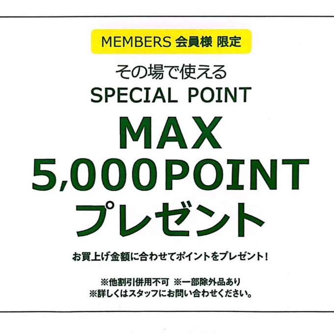 メンバーズ MAX5000Pプレゼント🎁