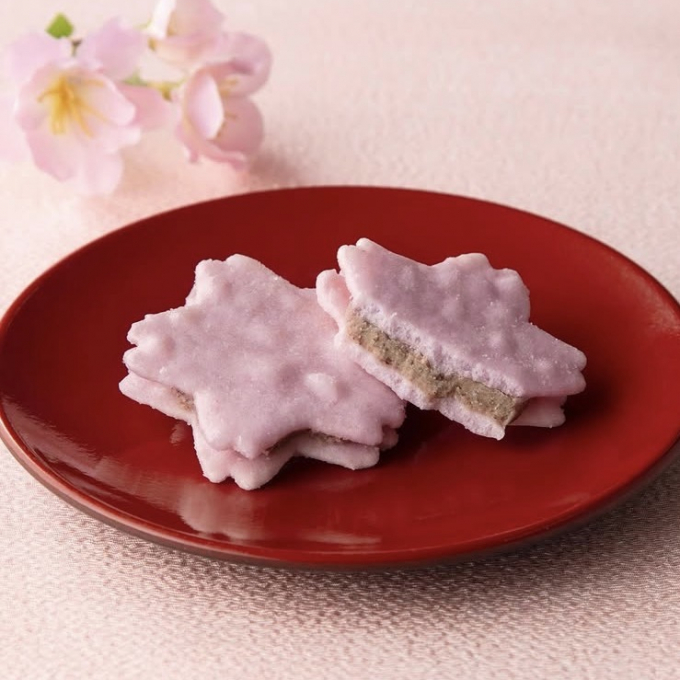 Vol.8 桜もちさんど