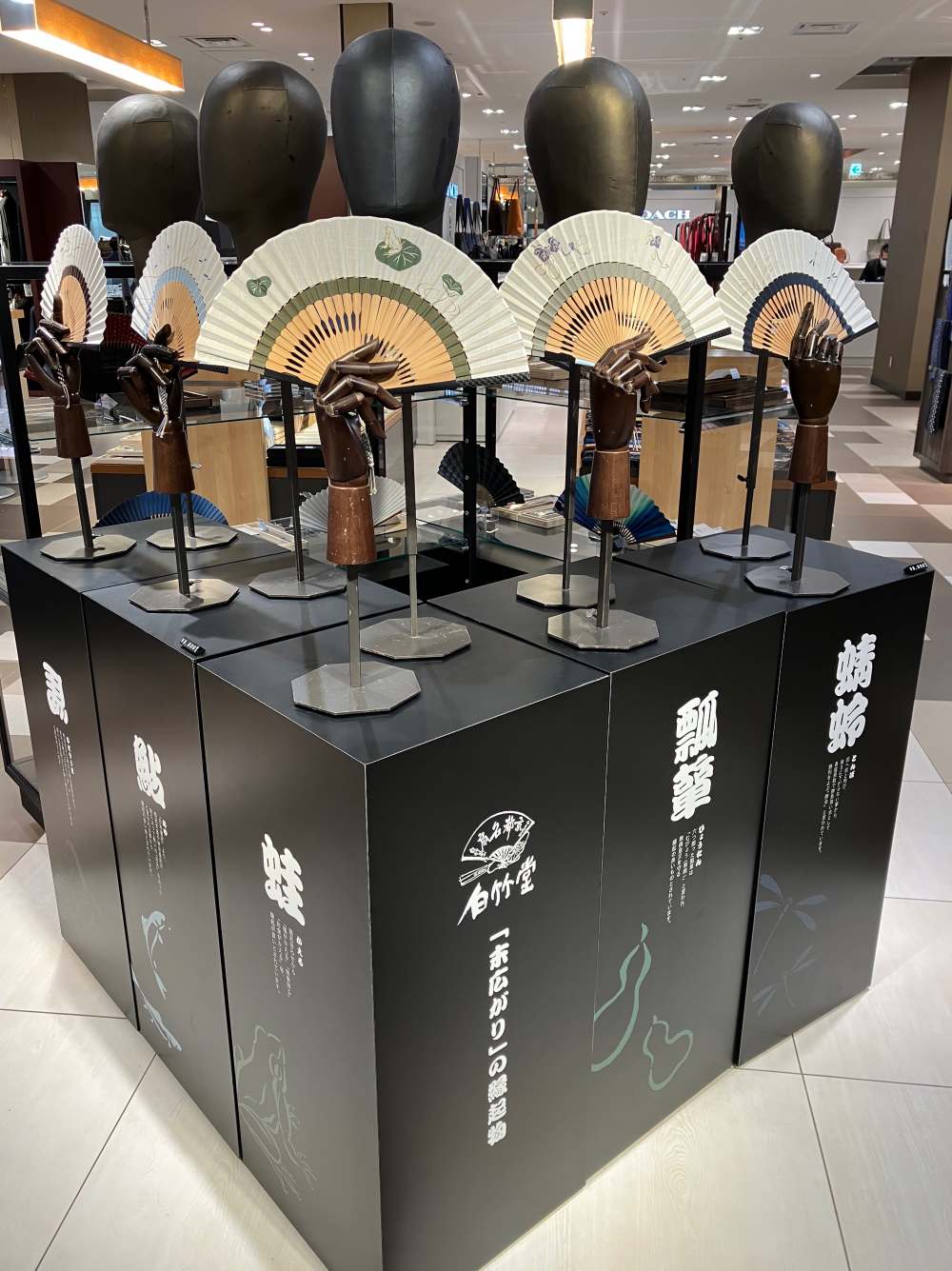 扇子　白竹堂　展開中🪭