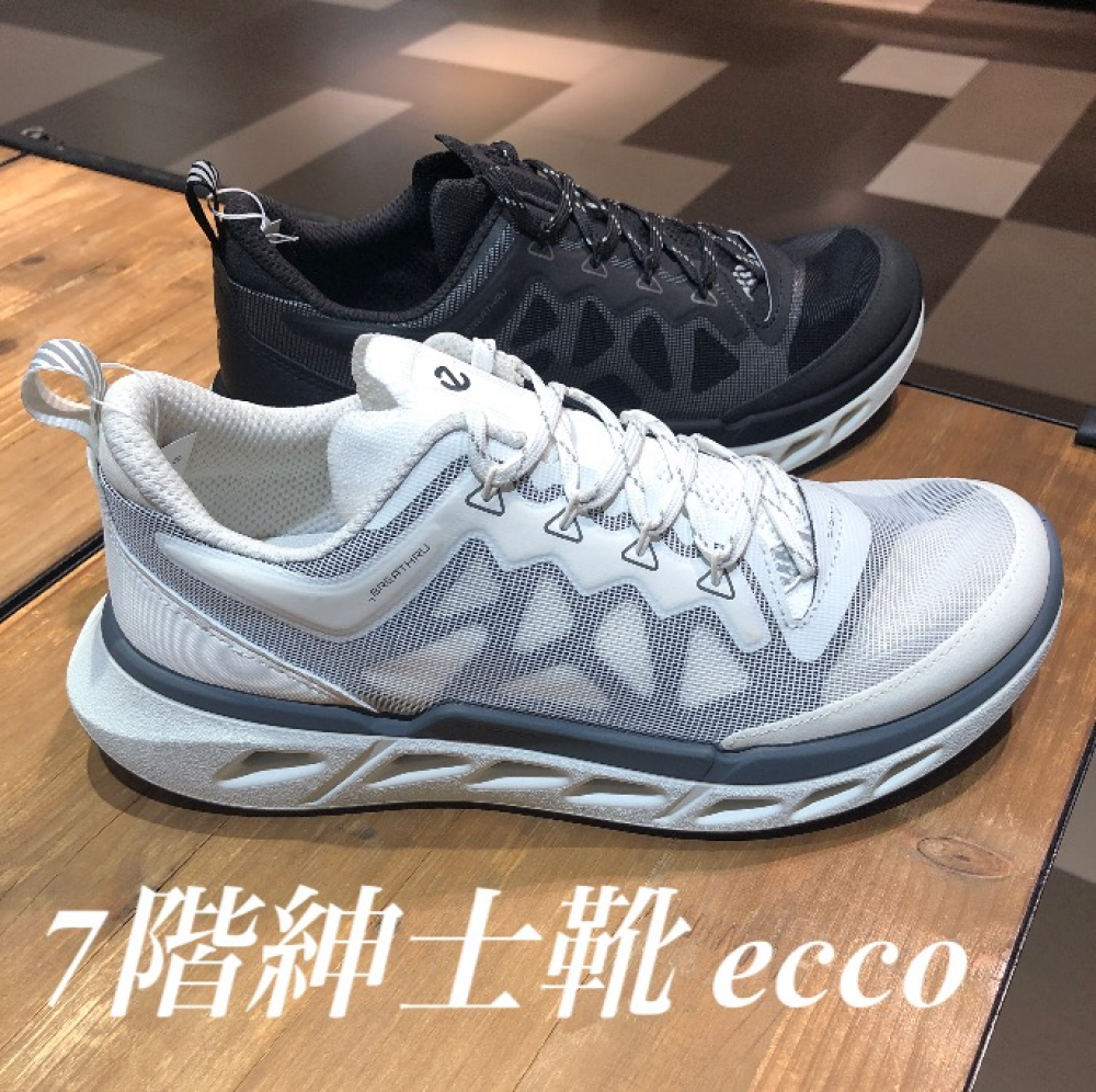 7階紳士靴【ecco】