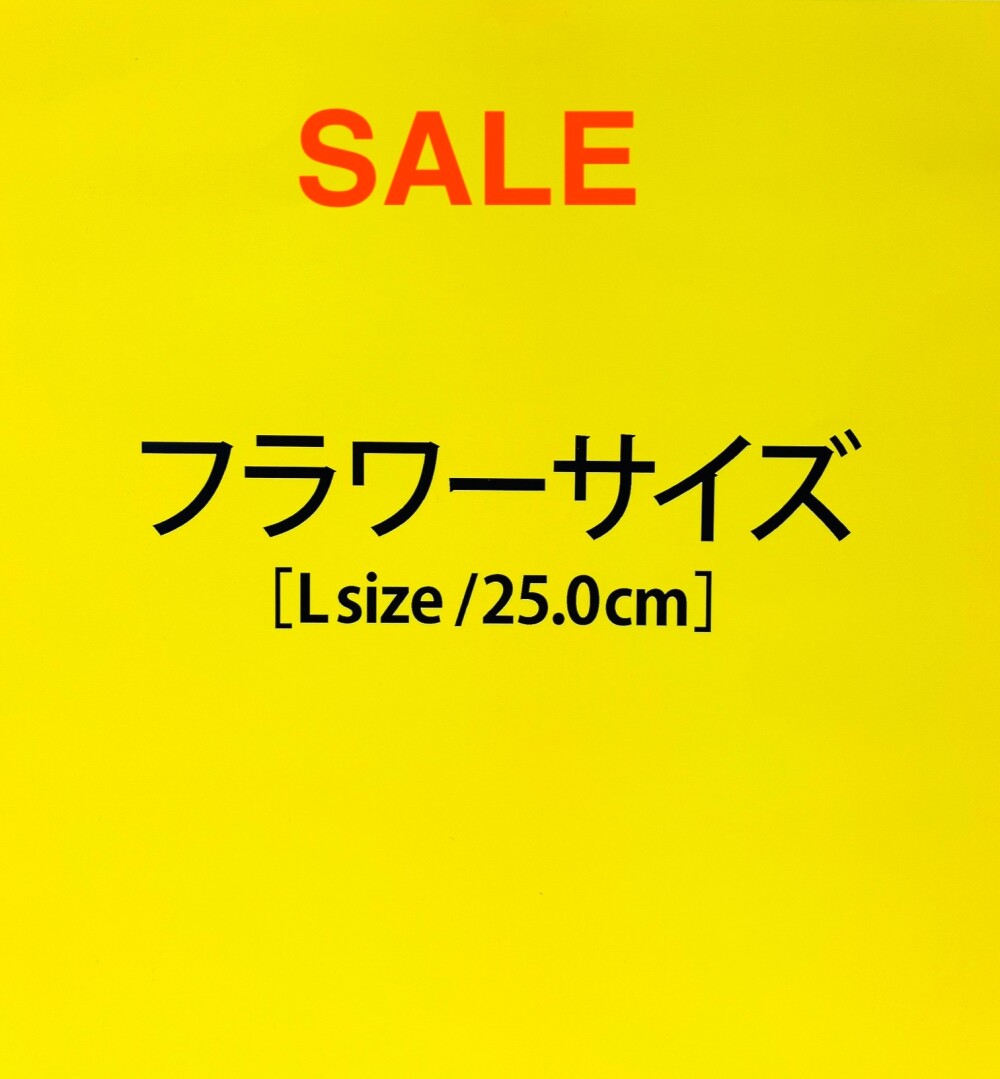 クリアランスセール【LLサイズコーナー】