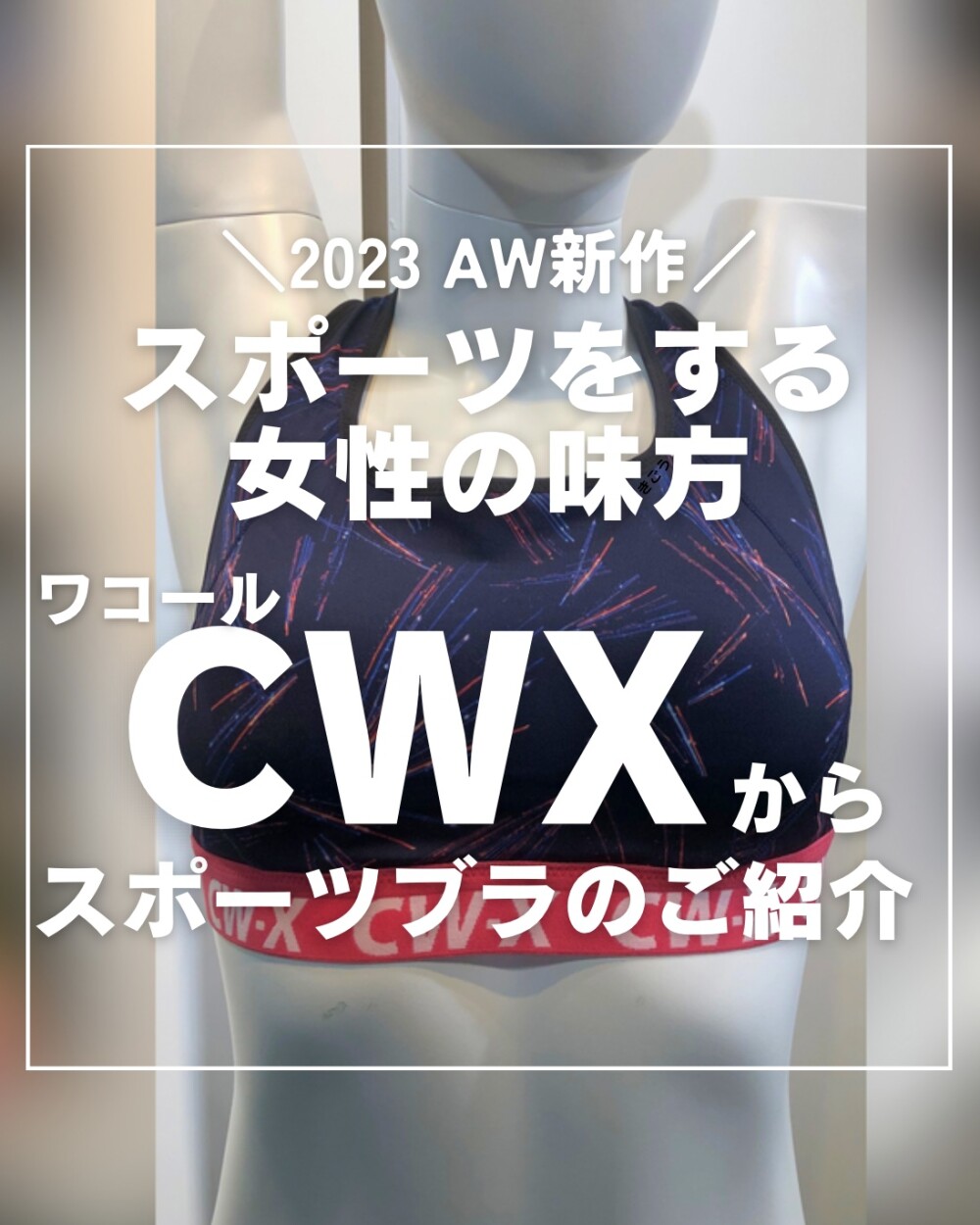 ワコールCWXから新色、ニュータイプアンダー入荷