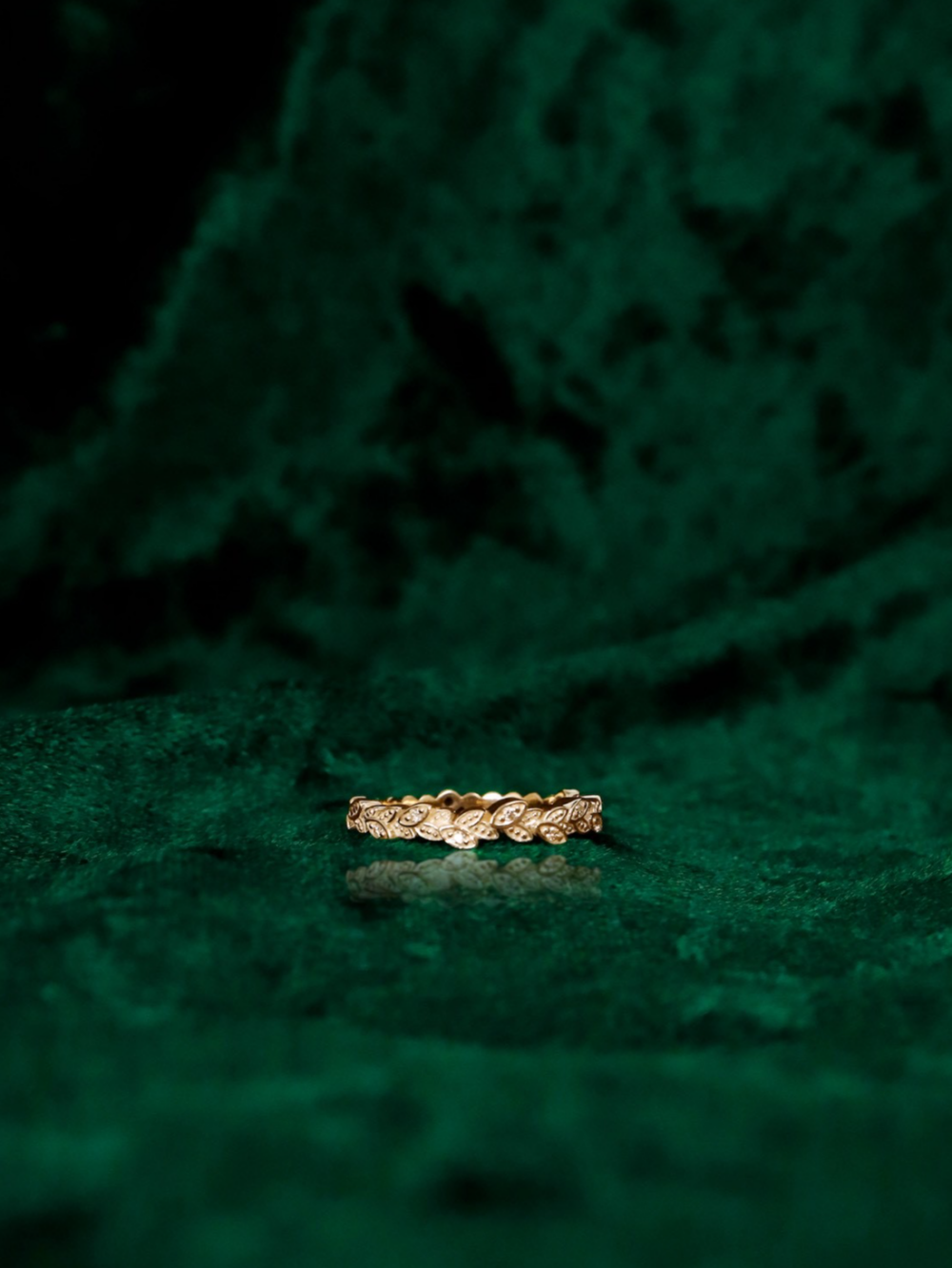 クリスマスコレクション