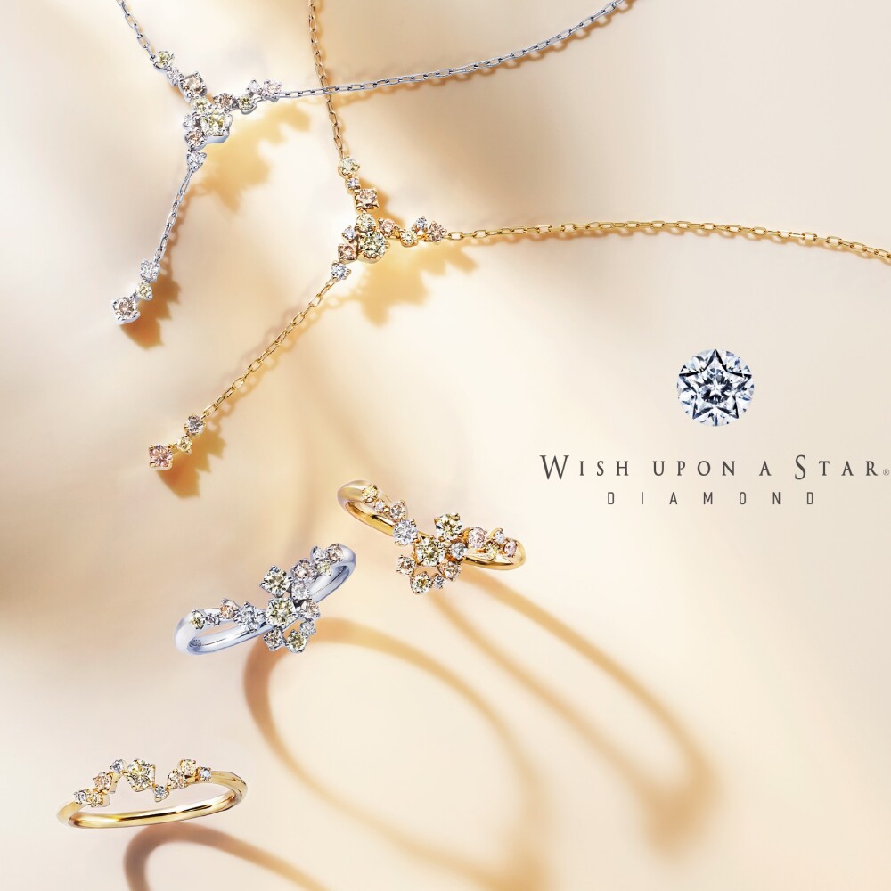 春の新作コレクションのご紹介