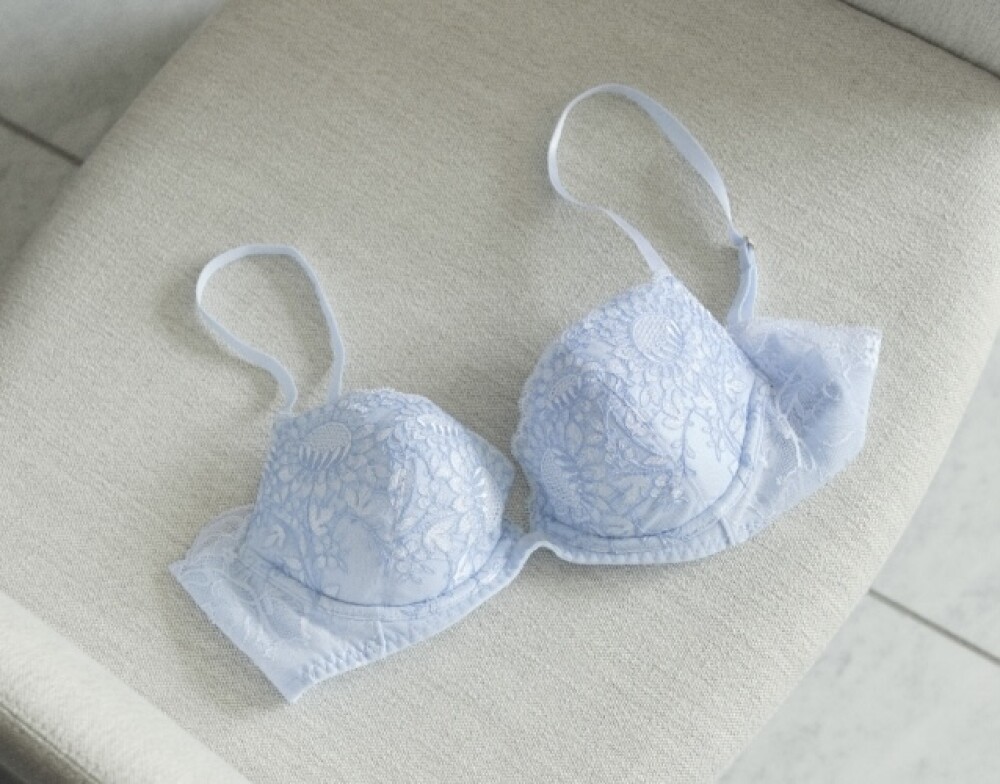 春夏最新作❇︎イベリスシリーズ