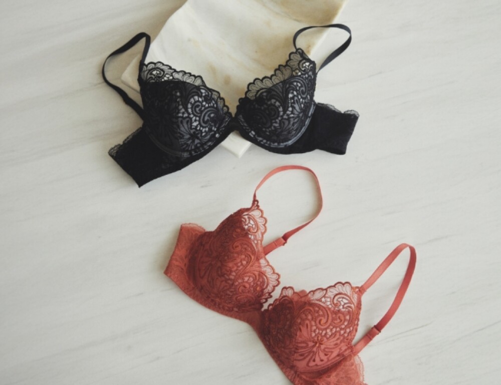 春夏最新作＊カトレアシリーズ