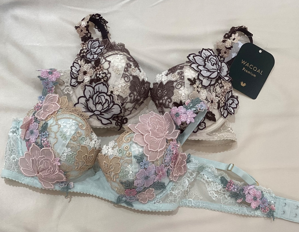 💐ワコール プレミアム💐新作入荷