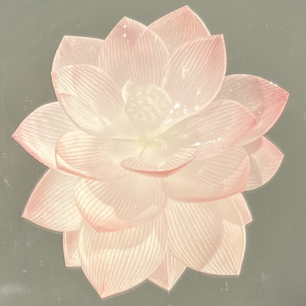 「野田 朗子 AKIKO NODA　Glass Exhibition」