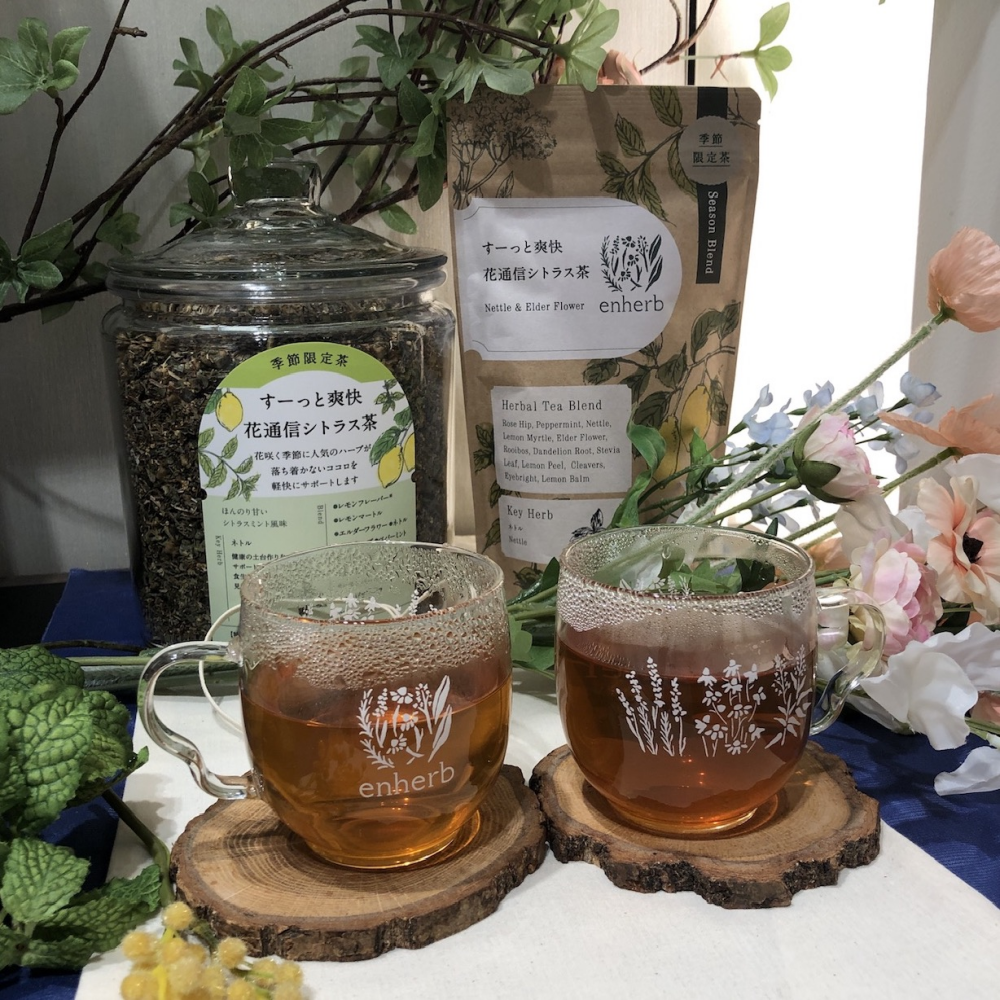 花咲く春✨エルダーフラワーやネトルとともに🌿すっーと爽快　花通信シトラス茶🌿など