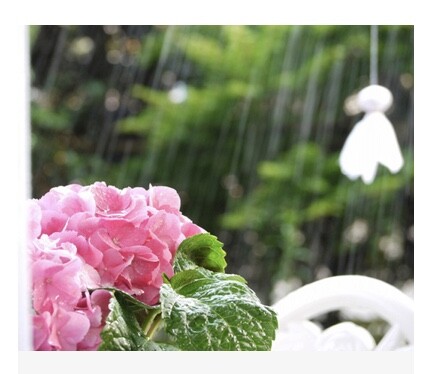 梅雨の時期にいかがですか？