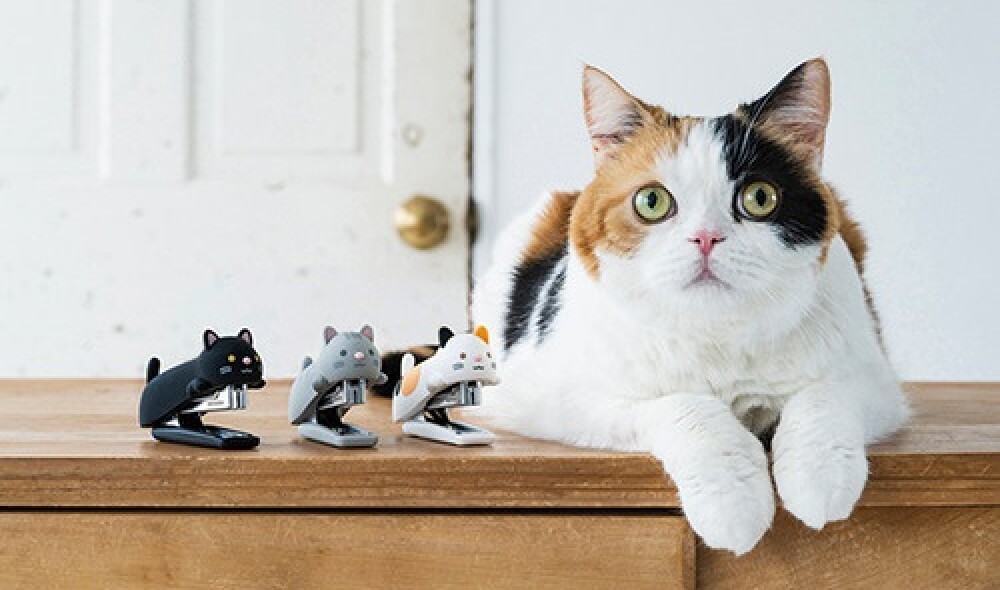 【ハンズ】2/22は「ねこの日」！