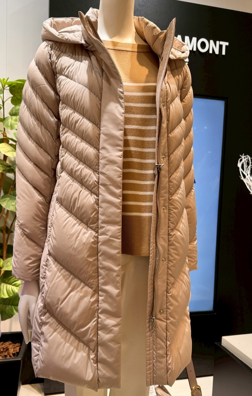 さらにお得になりました🉐