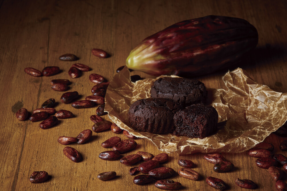 amine(アマイン)からのおしらせ