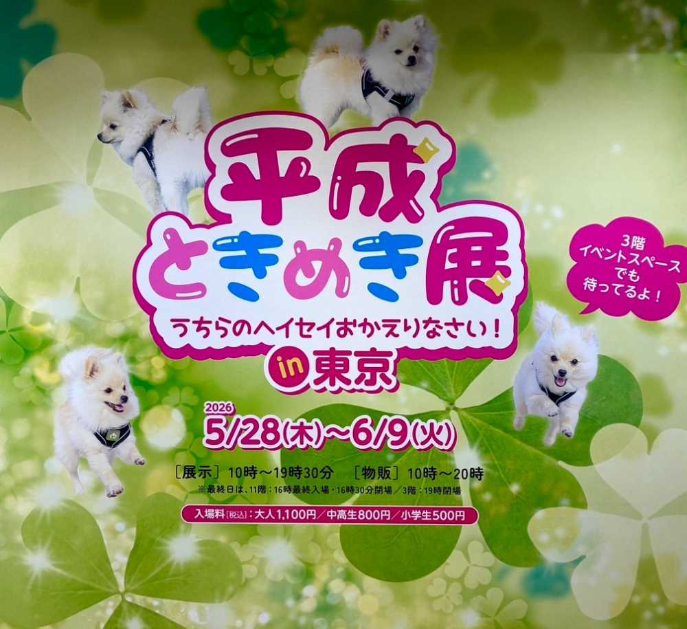 ★平成ときめき展～Y2K平成女児の部屋特集～★