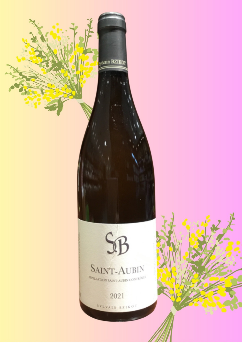 🍷今月のセラーワイン🍷  2021 シルヴァン　ビズコット　サン　トーバン