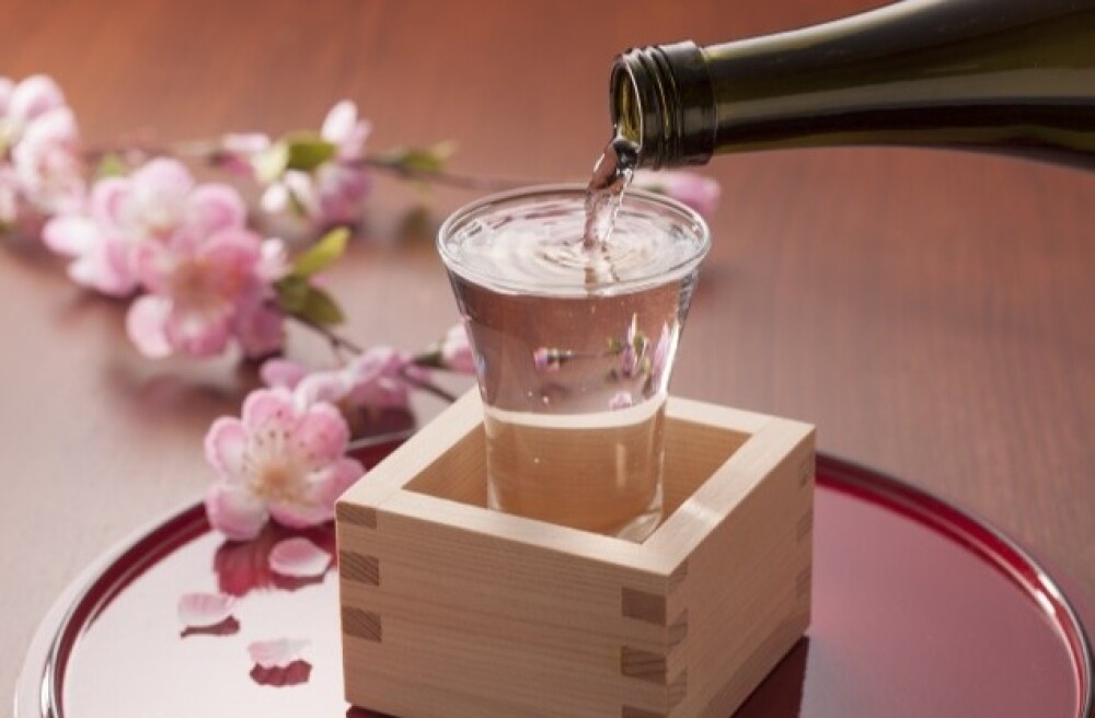 4月　日本酒酒蔵　来店情報