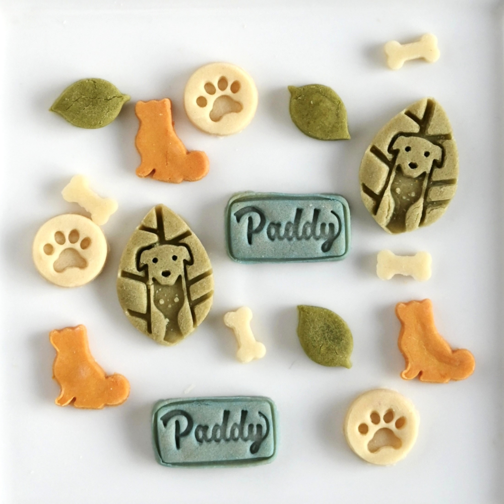 リニューアルオープン1周年記念キャンペーン