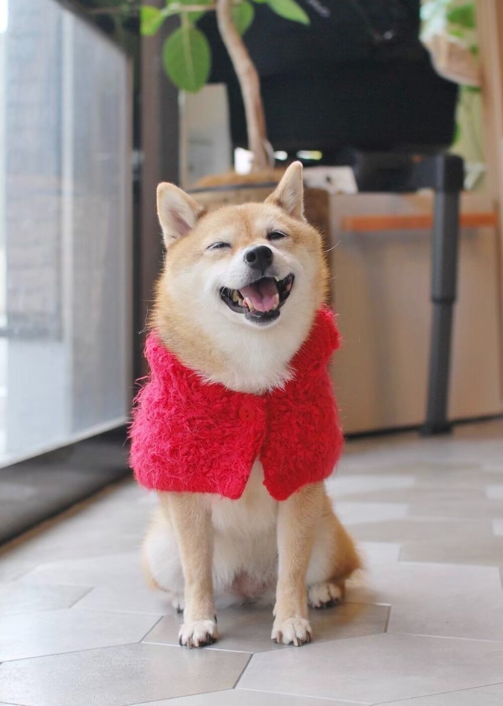 〈HYGGELE〉新作ニットのご紹介