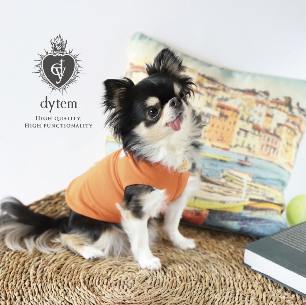 〈dytem〉shade 新色入荷のお知らせ