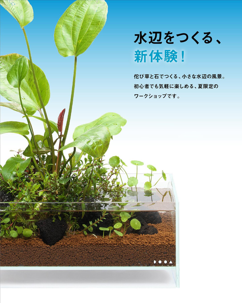 「水辺をつくる」夏限定ワークショップ開催！