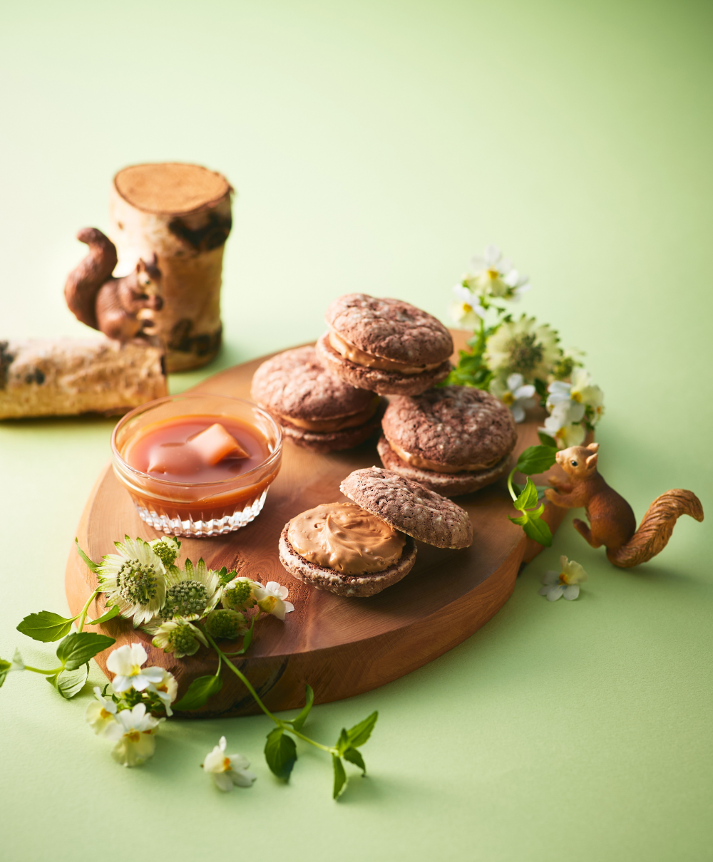 【アンテノール】カカオの森と動物たちの物語～冬限定のショコラの焼き菓子