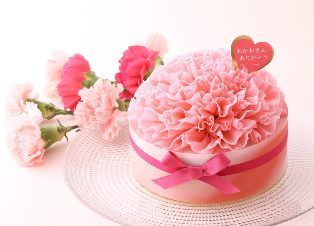 【アンテノール】カーネーションのケーキ、ご予約受付中✨