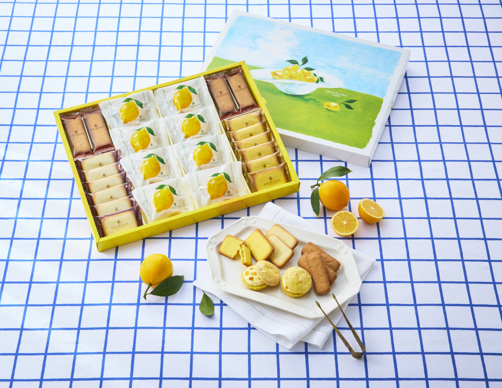 【アンテノール】夏限定の贈り物