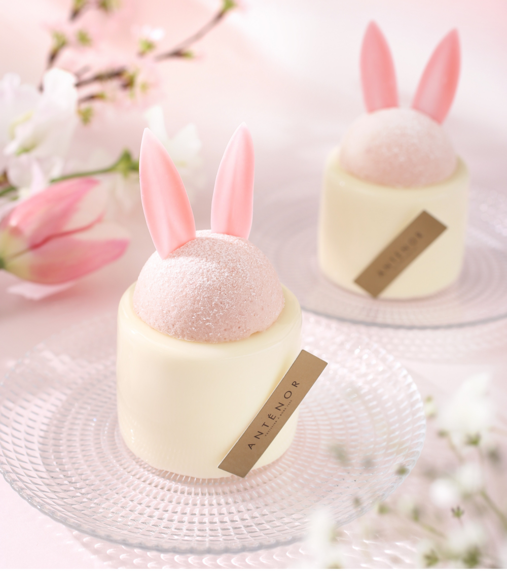 【アンテノール】🌸お花見スイーツ🌸春うさぎのレアチーズ