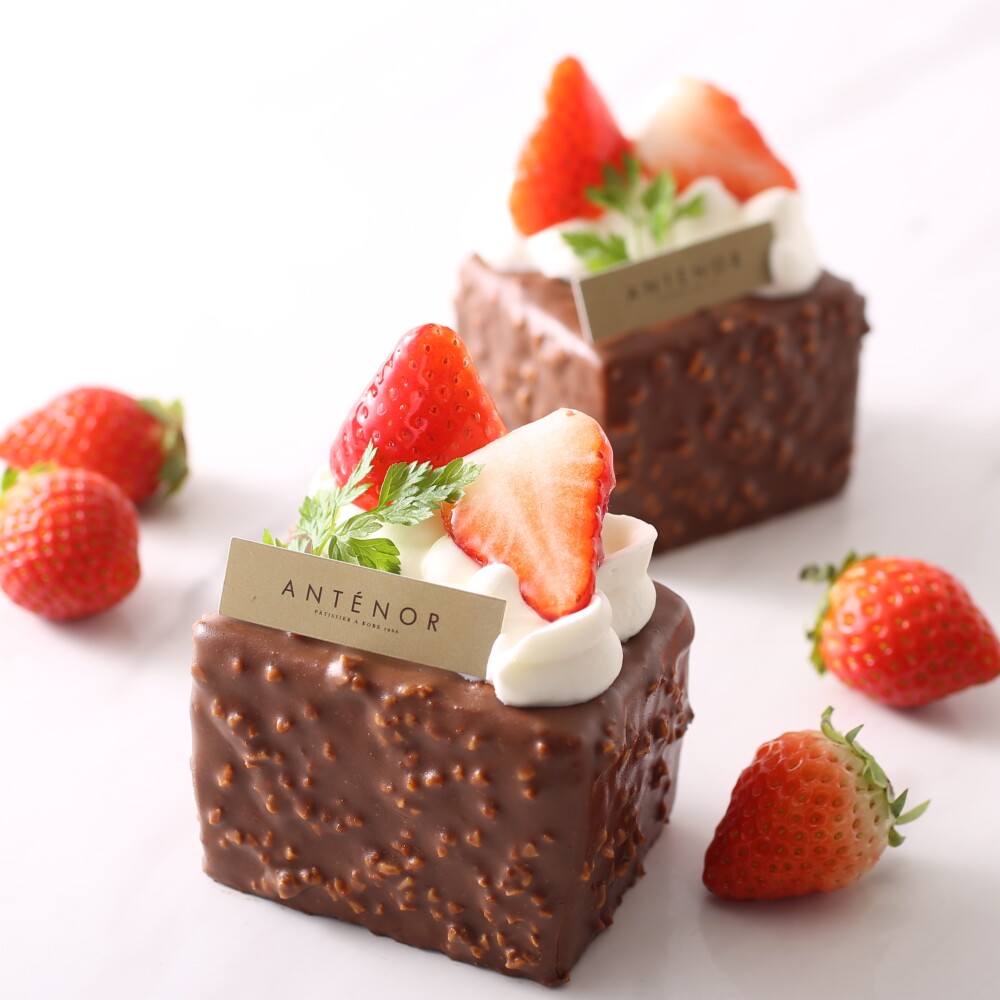 【アンテノール】苺フェスタで毎年１・２を争う人気商品『紅ほっぺ苺とショコラのガトー』