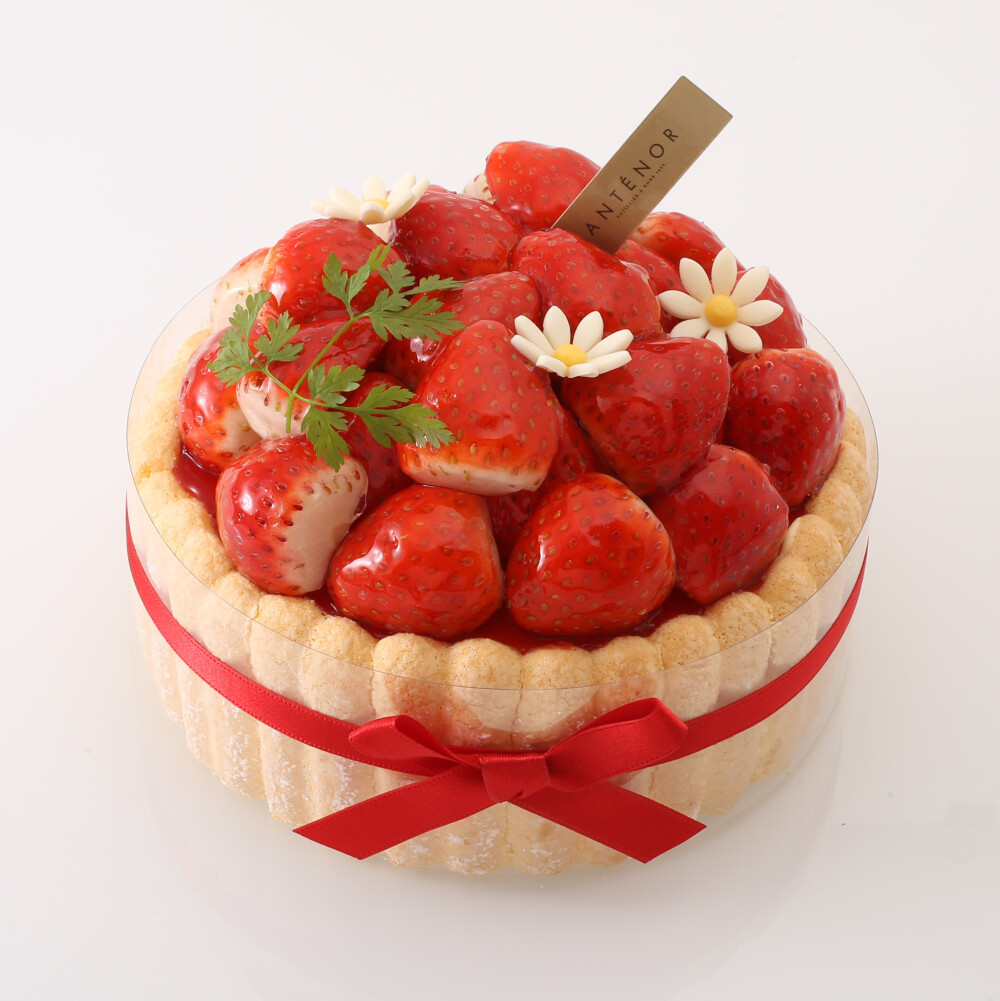 【アンテノール】入学や春のお祝いにぴったりなケーキ