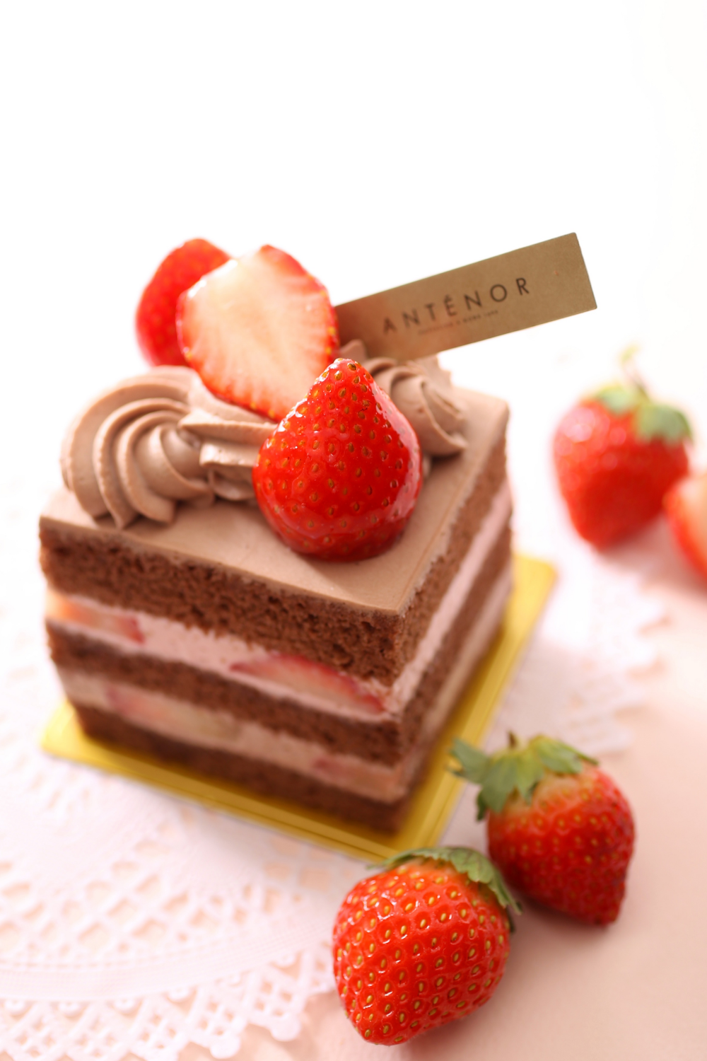 【アンテノール】紅ほっぺ苺のショコラショートケーキ