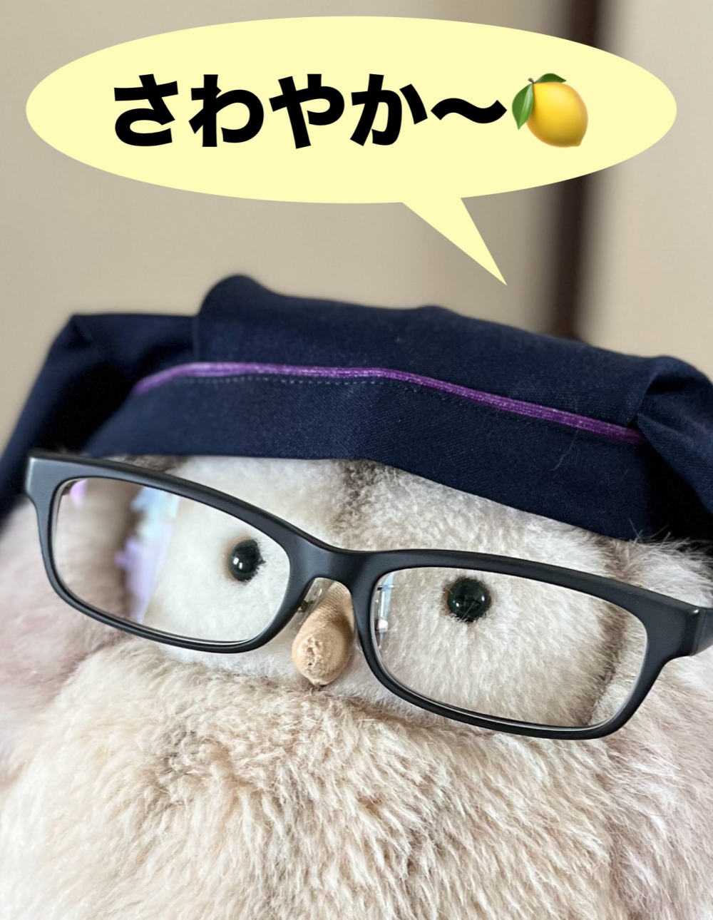  〈銀座鈴屋〉季節甘納糖シリーズ・れもん甘納糖