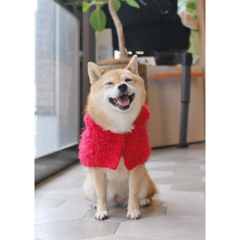 HYGGELE ヒュッゲ　犬服 ニット Lサイズ 2着セット 650dd1b6.jpg