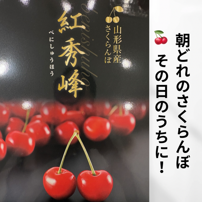 鮮度抜群！朝どれ🍒さくらんぼ🍒