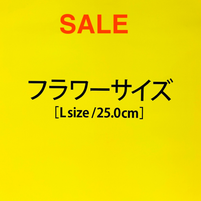 クリアランスセール【LLサイズコーナー】