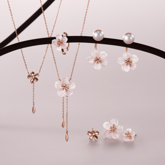 数量限定「SAKURA 2026」