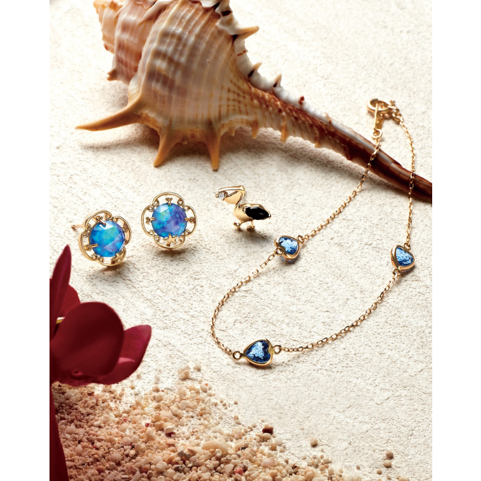 🚤🌊新作コレクション「COSTA BREEZE」のご紹介①🌊🚤