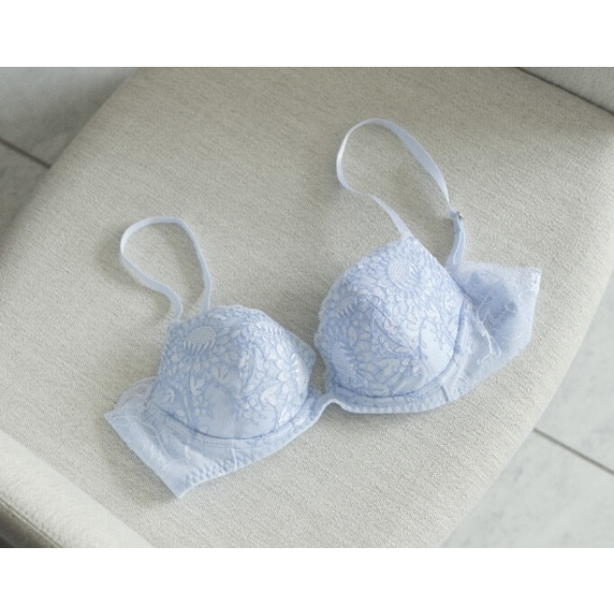 春夏最新作❇︎イベリスシリーズ