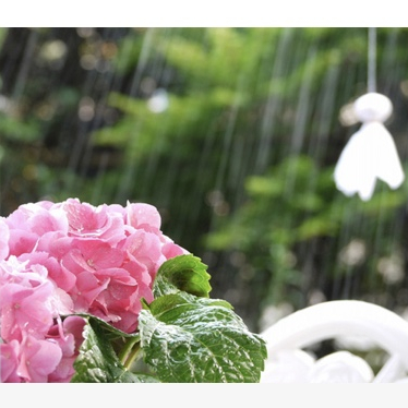 梅雨の時期にいかがですか？